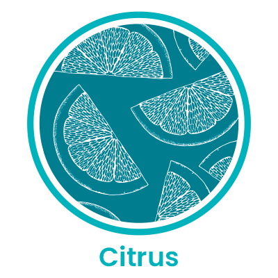 Estampas Citrus